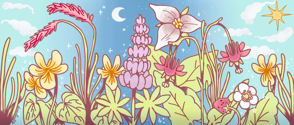 "PNW Flowers" Digital Illustration